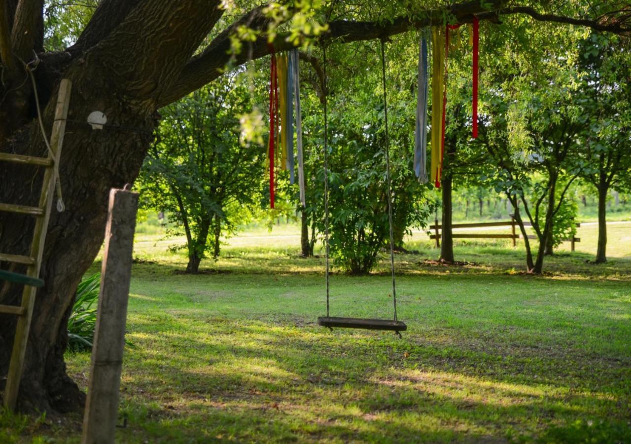 Country House Near Venice Villa Palazzo del Mayne Buitenkant foto